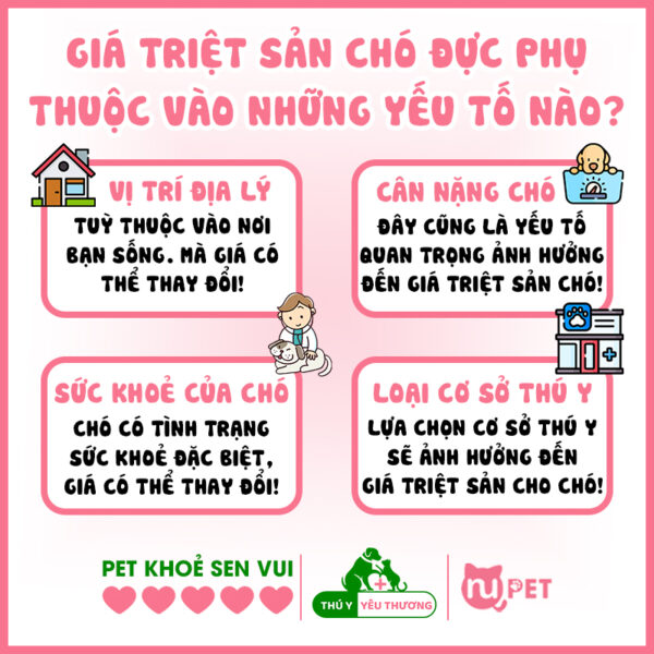 Giá triệt sản chó đực phục thuộc vào những yếu tố nào