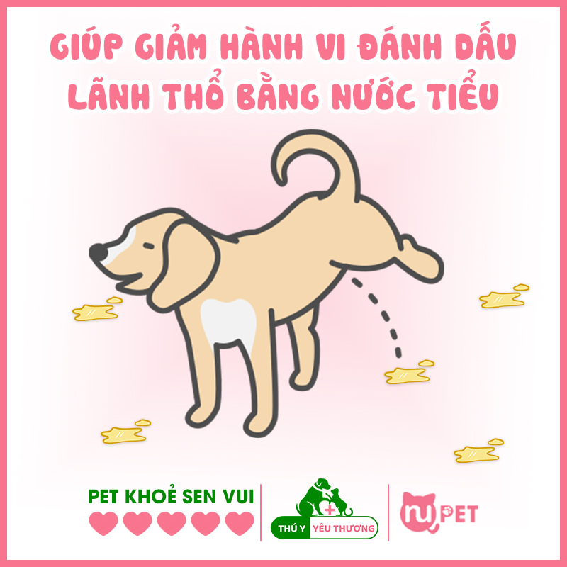 Giúp giảm hành vi đánh dấu lãnh thổ bằng nước tiểu