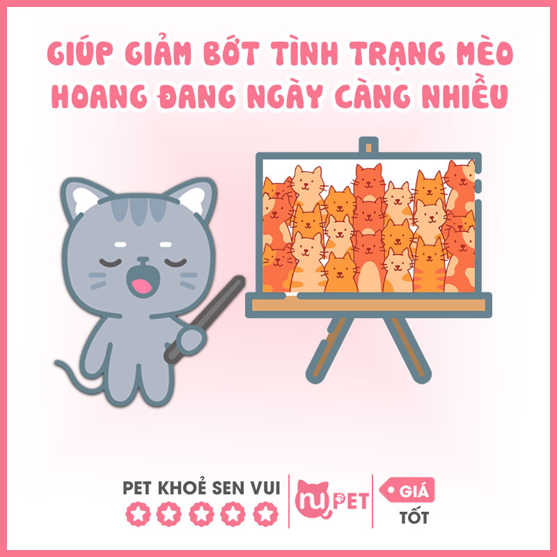 Giúp giảm tình trạng mèo hoang ngày càng nhiều