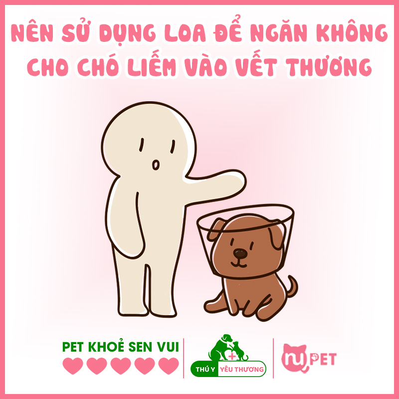 Nên sử dụng loa chống liếm