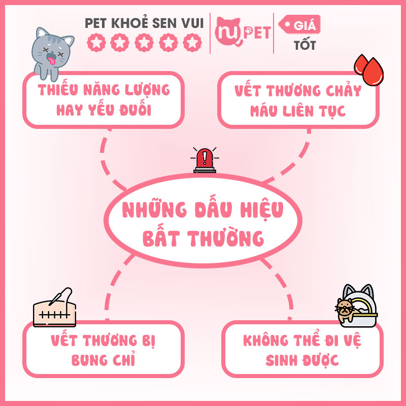 Những dấu hiệu bất thường mà bạn cần chú ý