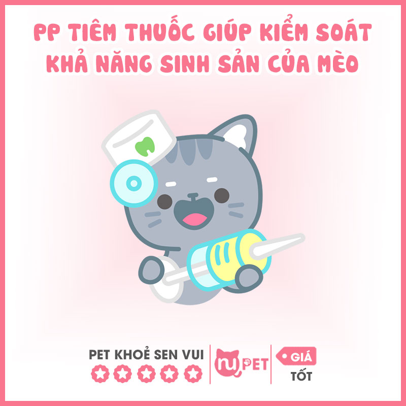 Phương pháp tiêm thuốc triệt sản cho mèo cái là gì?