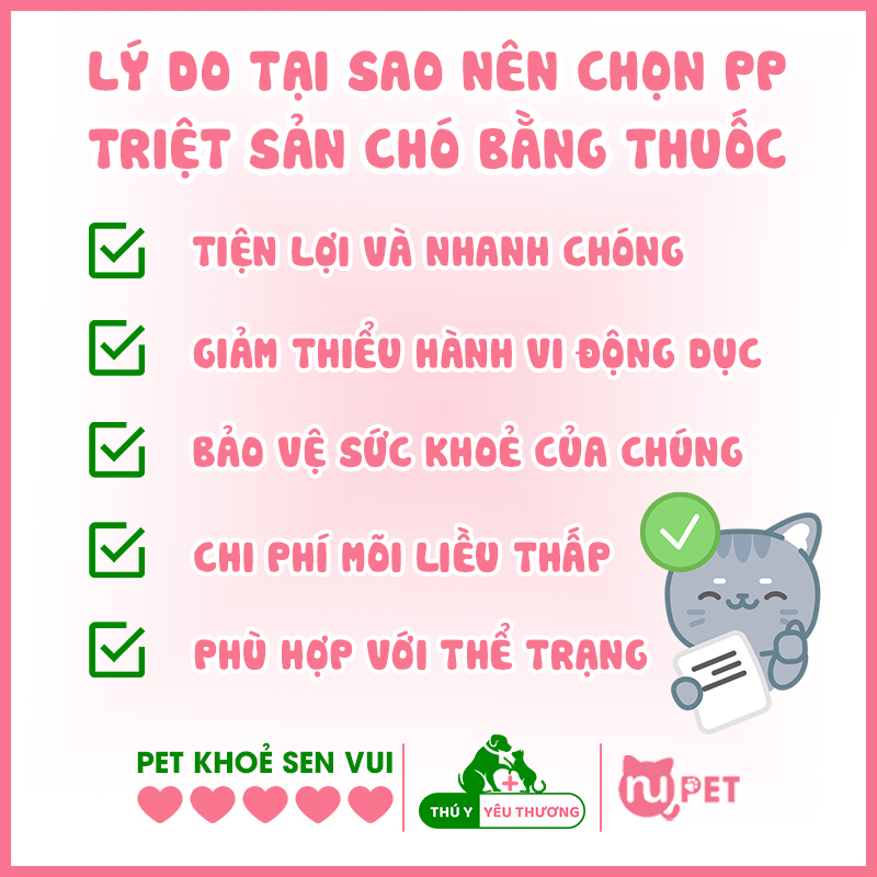 Tại sao nên chọn triệt sản chó đực bằng thuốc