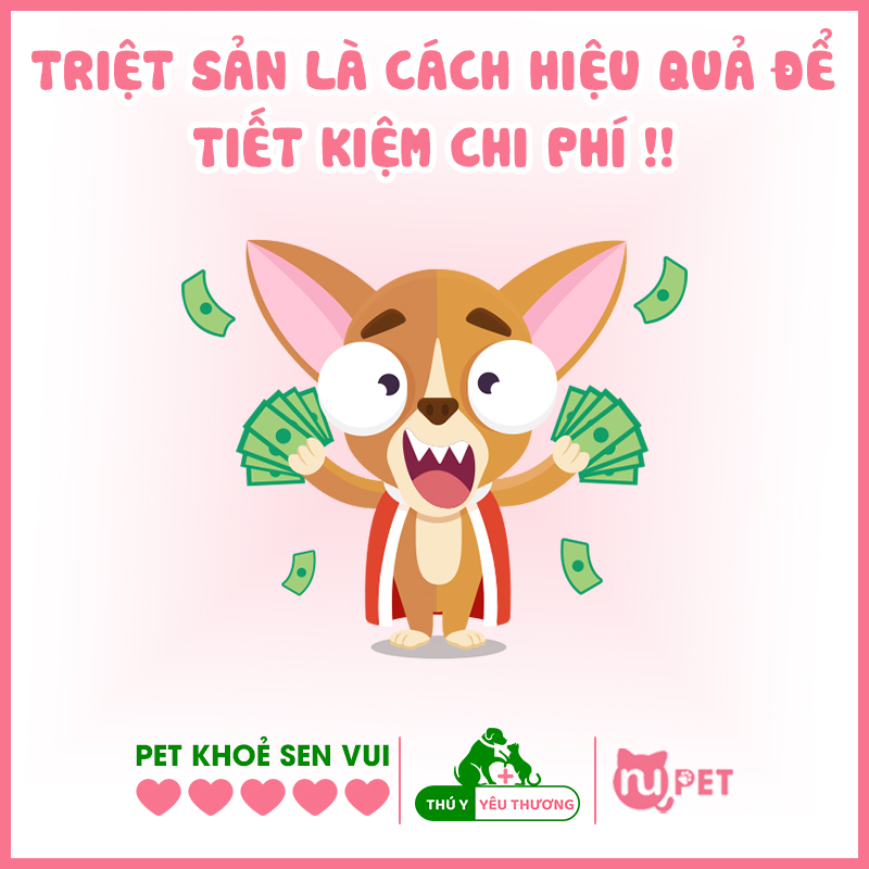 Tiết kiệm chi phí khi triệt sản cho chó