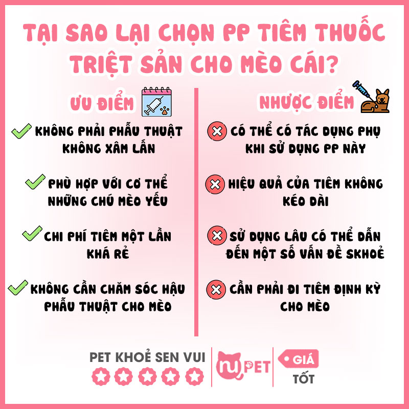 Ưu nhược điểm của tiêm triệt sản mèo cái