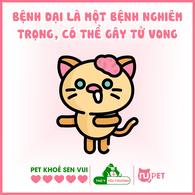 Bệnh dại ở mèo