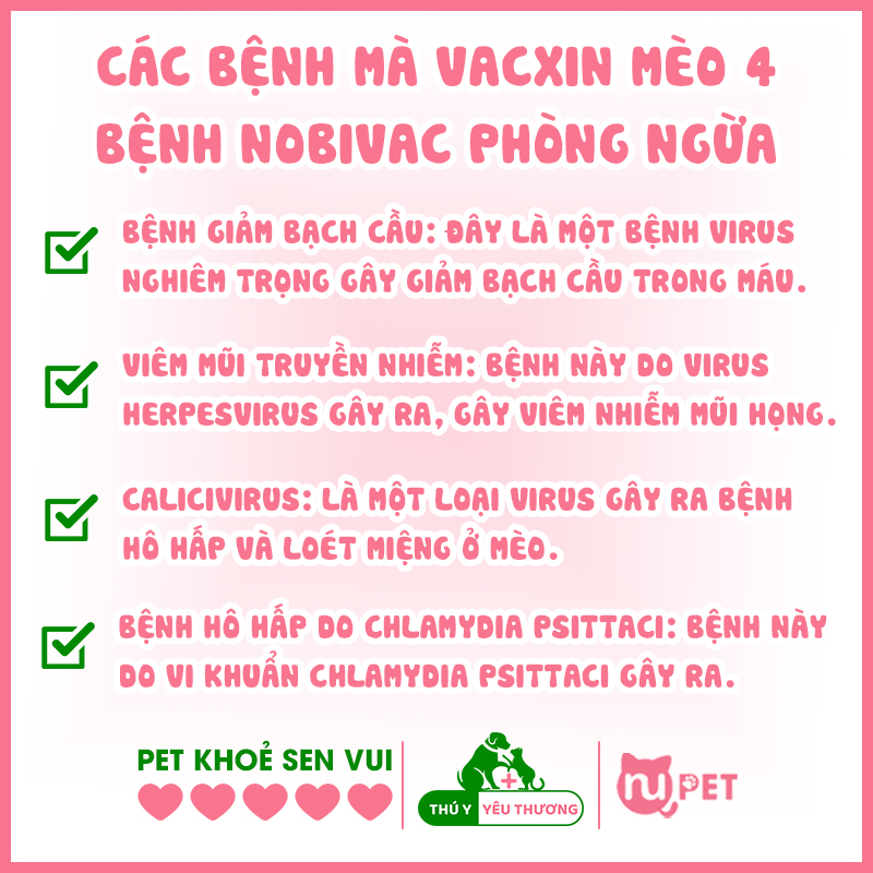 Các bệnh mà vaccine nobivac 4 bệnh cho mèo phòng ngừa