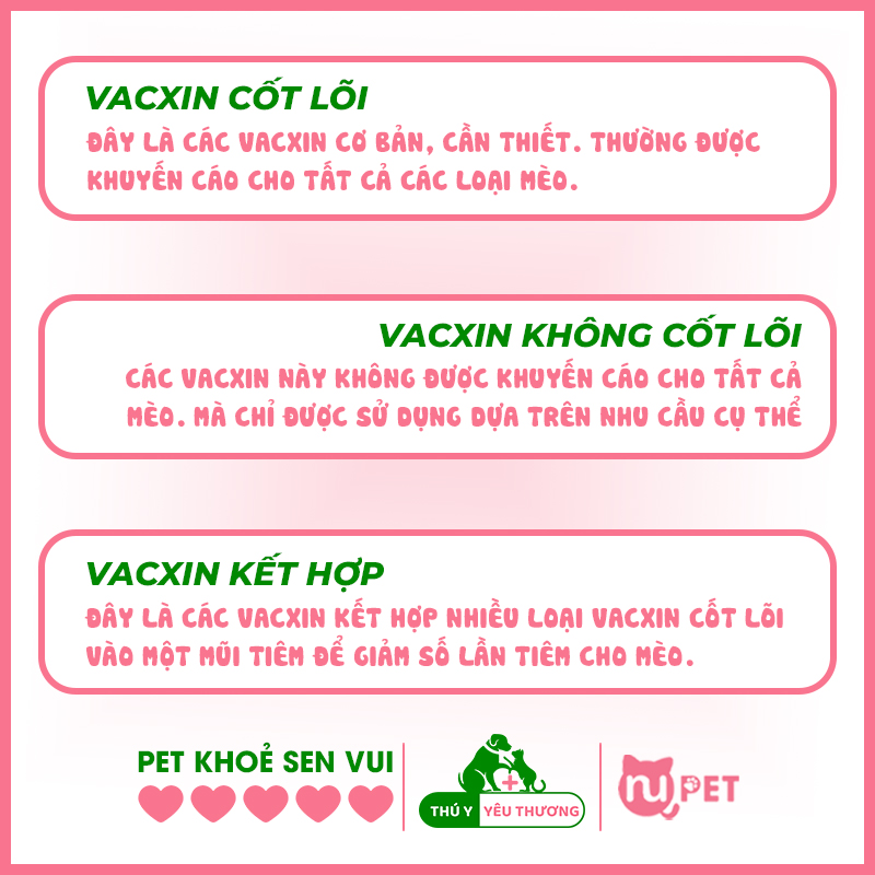 các loại vacxin cho mèo