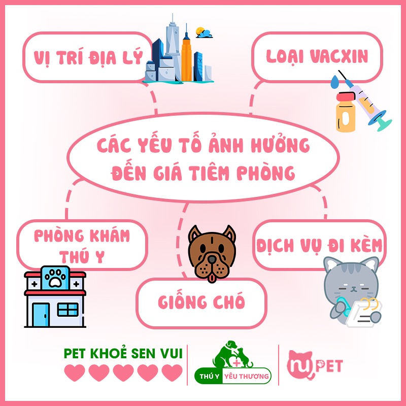 Các yếu tố có thể ảnh hưởng đến <yoastmark class=