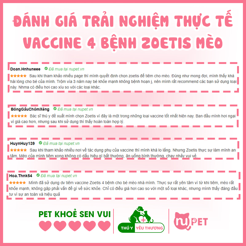 Đánh giá trải nghiệm vaccine zoetis 4 bệnh mèo