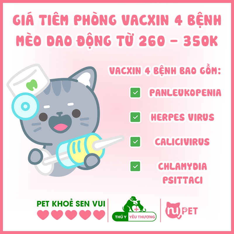 Giá tiêm phòng vacxin cho mèo