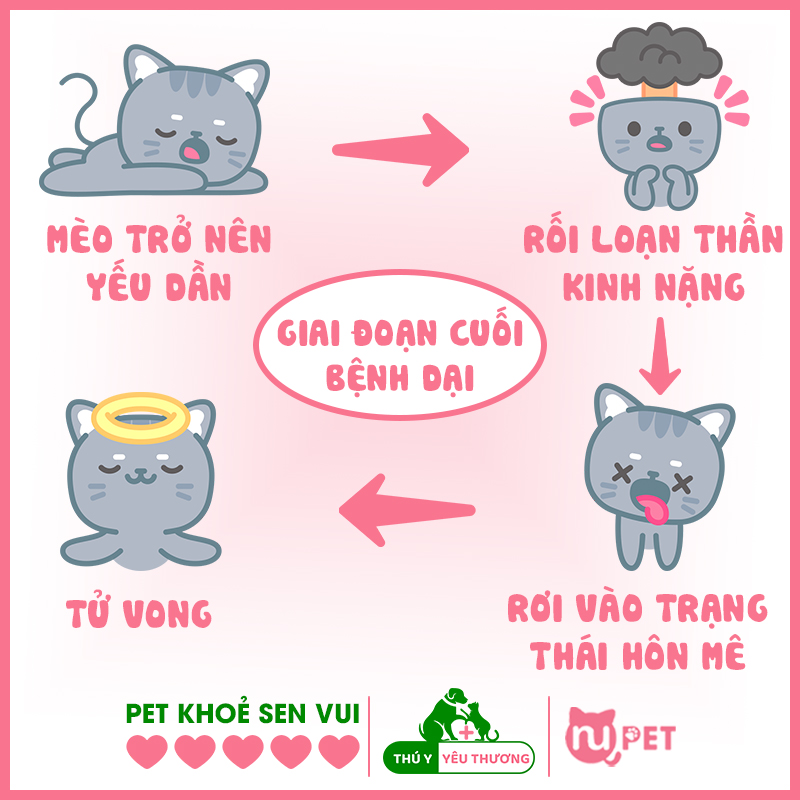 Giai đoạn cuối bệnh dại