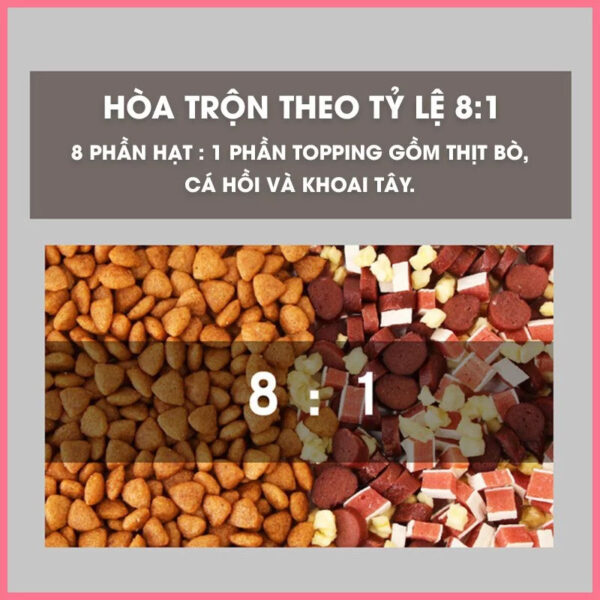 Hạt thức ăn captain cho chó 2