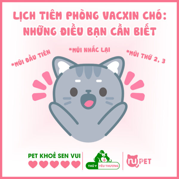 Lịch tiêm phòng vacxin cho chó