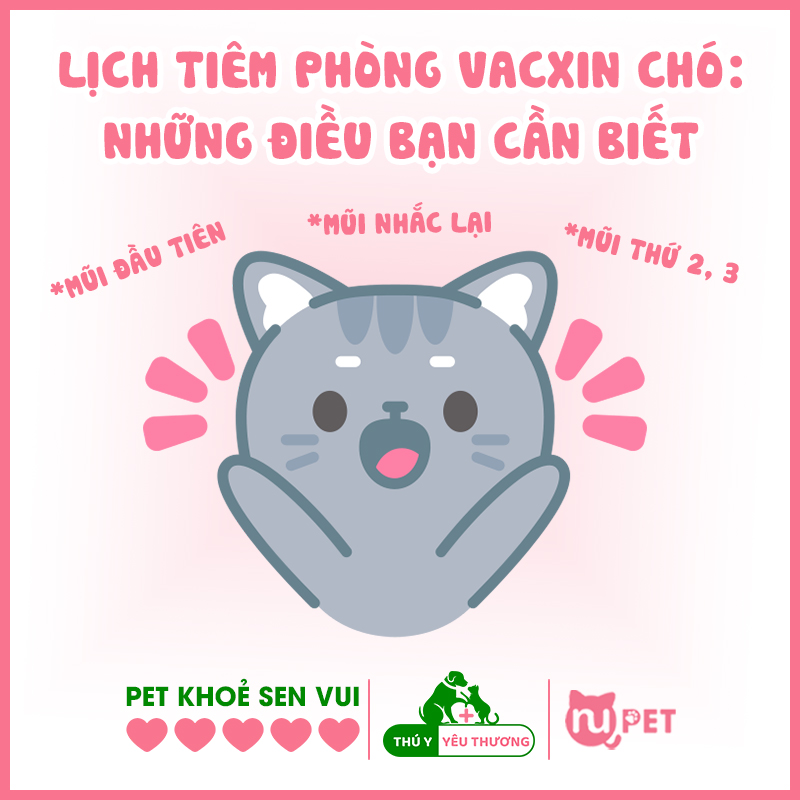 Lịch tiêm phòng vacxin cho chó