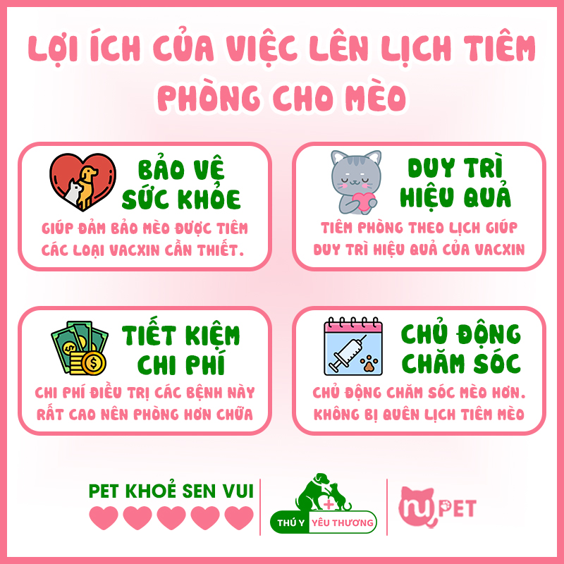 Lợi ích của việc lên lịch tiêm phòng cho mèo