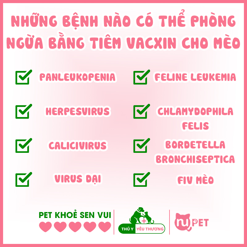 Những bệnh có thể ngừa bằng cách tiêm phòng