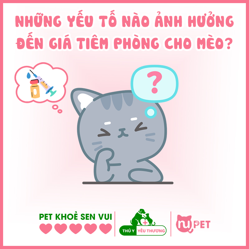 Những yếu tố nào ảnh hưởng đến giá tiêm phòng cho mèo