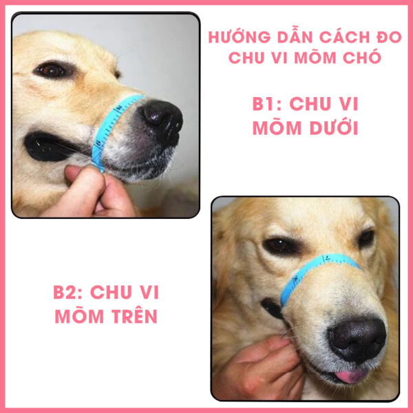 Rọ mõm cho chó 1