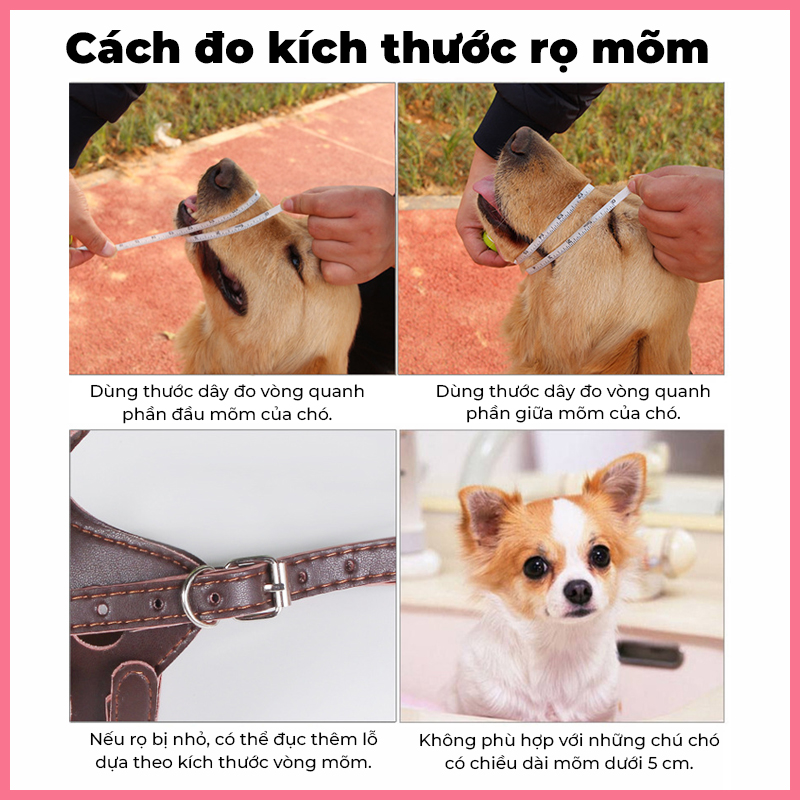 ro-mom-da-cho-cho-meo-7 Rọ mõm da cho chó mèo 7