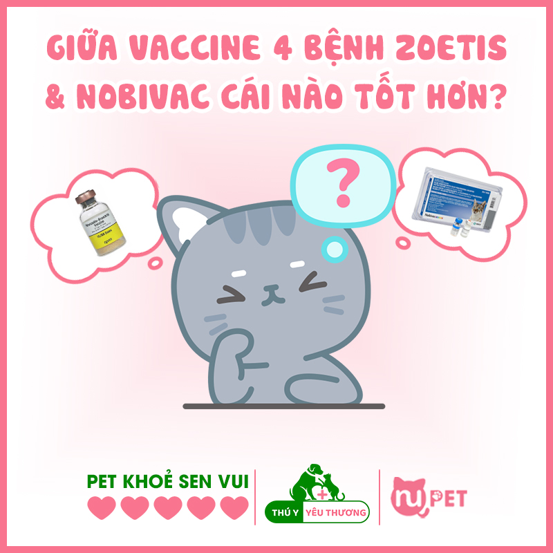 So sánh giữa 2 loại vaccine 4 bệnh mèo zoetis và nobivac