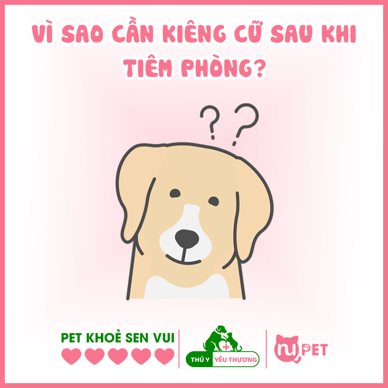 tại sao phải kiêng cữ sau khi tiêm phòng