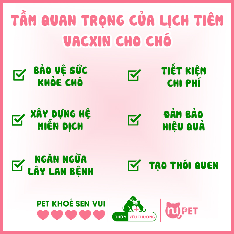 Tầm quan troingj của lịch tiêm phòng cho chó