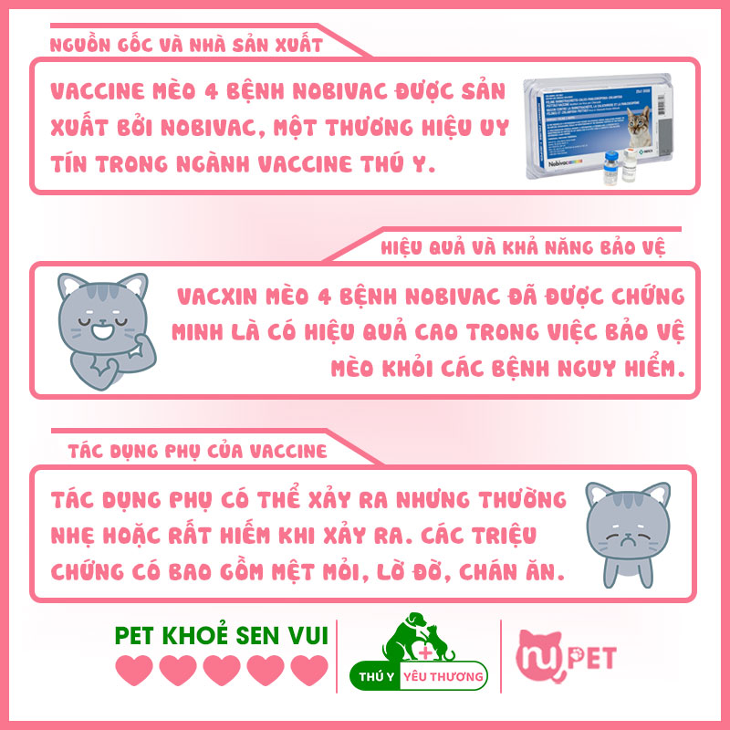 Tổng quan về vacxin 4 bệnh mèo nobivac