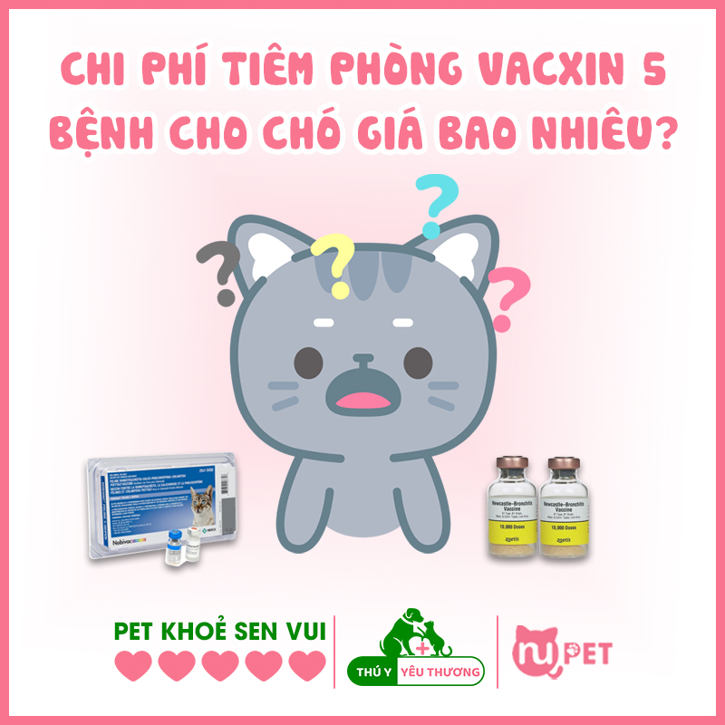 Vacxin 5 bệnh cho chó có giá bao nhiêu?