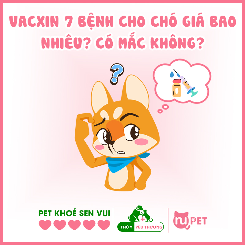 vacxin 7 bệnh cho chó giá bao nhiêu?