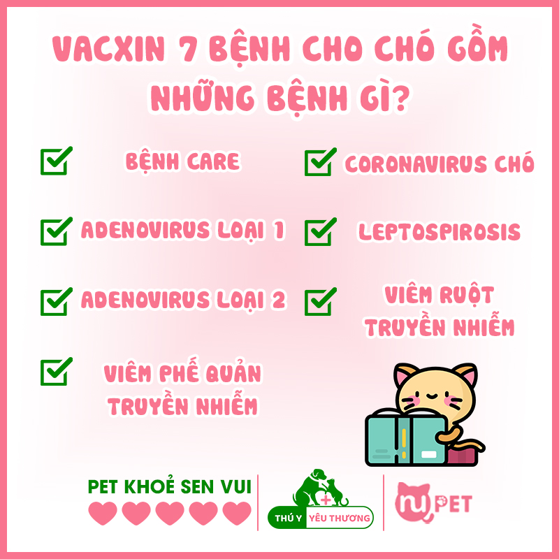 Vacxin 7 bệnh cho chó gồm những bệnh gì?