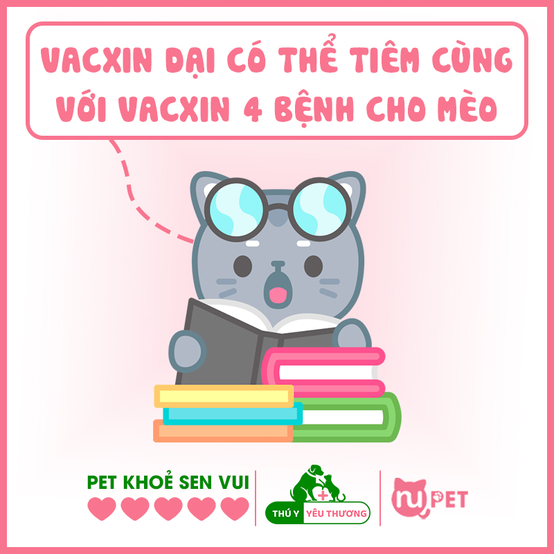 Có thể tiêm vacxin dại cùng lúc với vacxin 4 bệnh