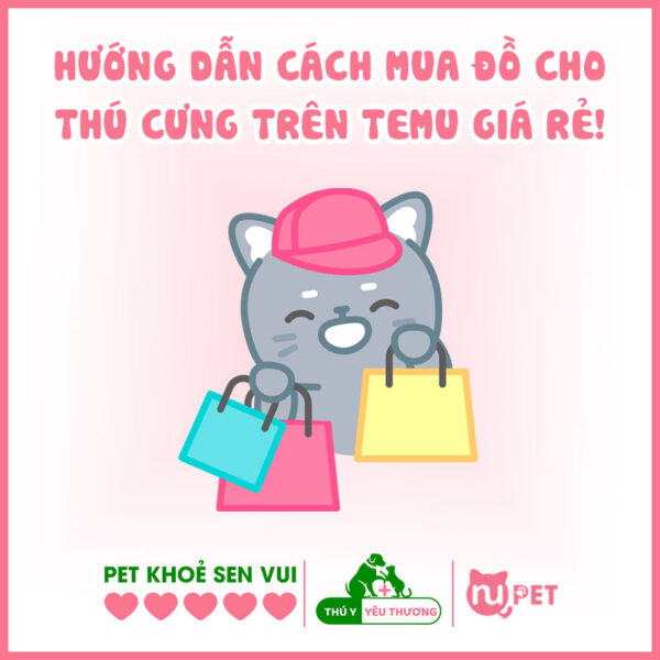 Cách mua đồ trên Temu với giá siêu rẻ