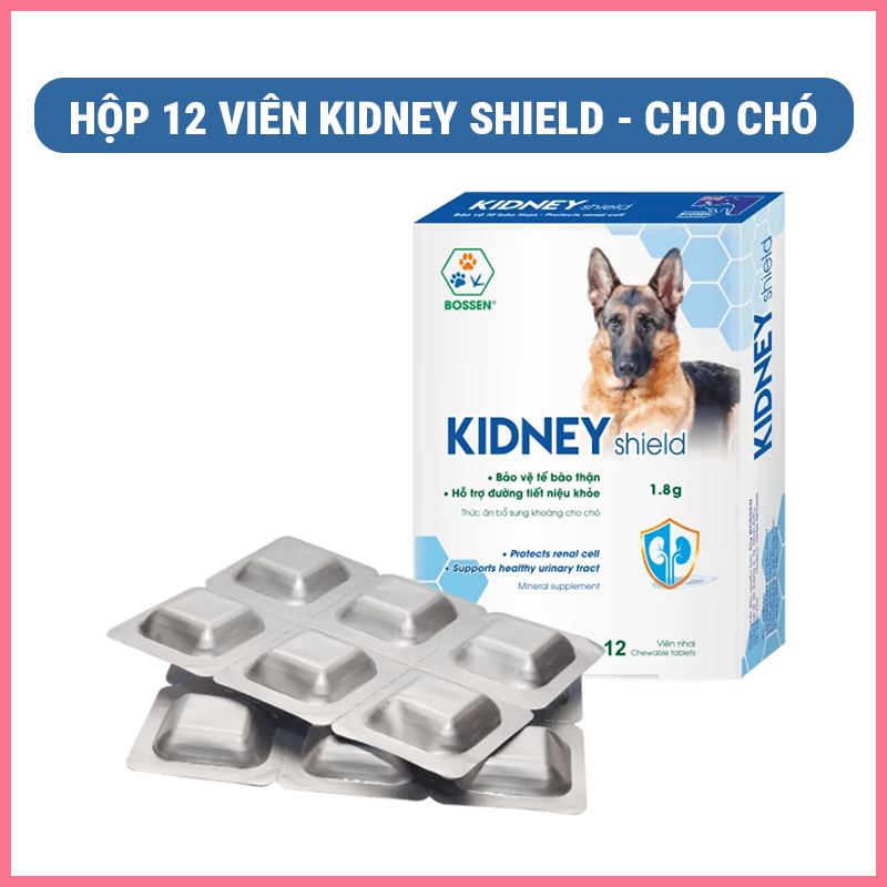 kidney-shield-nupet-12-vien-1 Kidney shield Nupet 12 viên 1