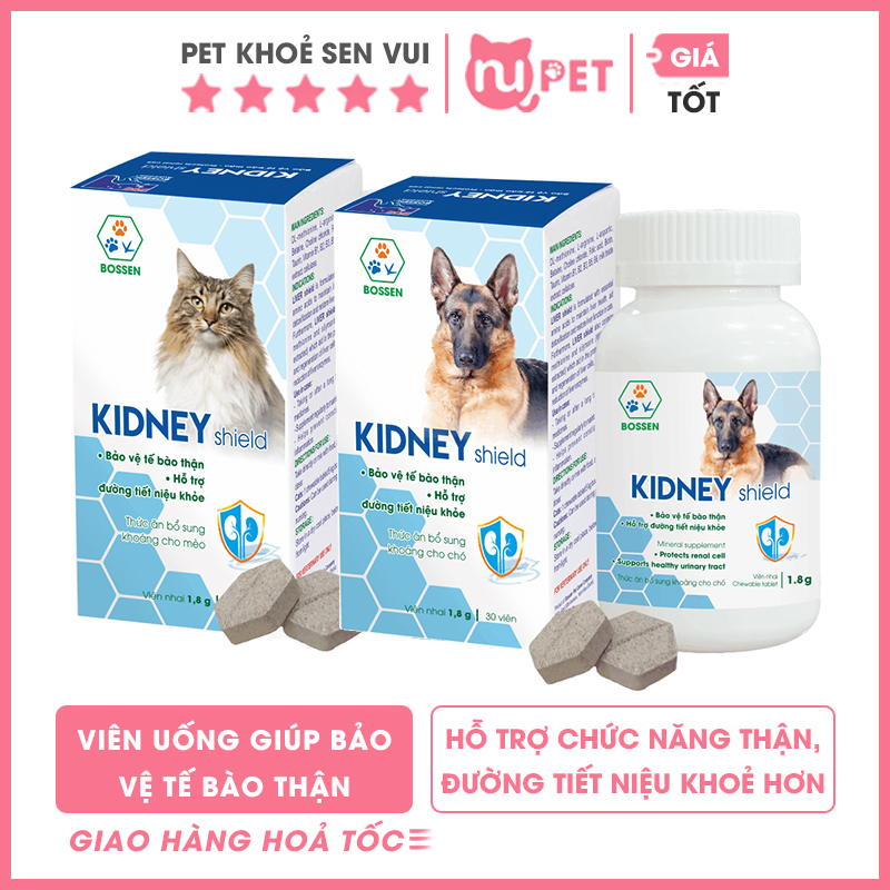 Viên uống Kidney shield chó và mèo