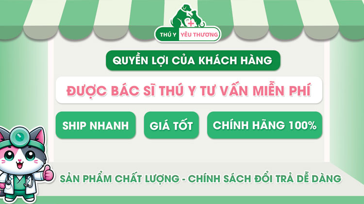 banner-quyen-loi-khach-hang-khi-mua-tai-thuyyeuthuong