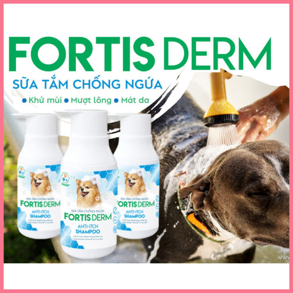 Sữa tắm chống ngứa Fortis Derm 2