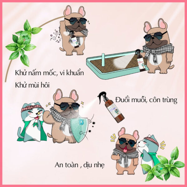 Xịt khử khuẩn nano dkgreen 2