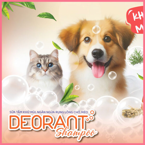 Sữa tắm deorant shampoo 2