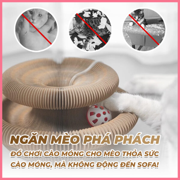 Bàn cào móng biến hình 2