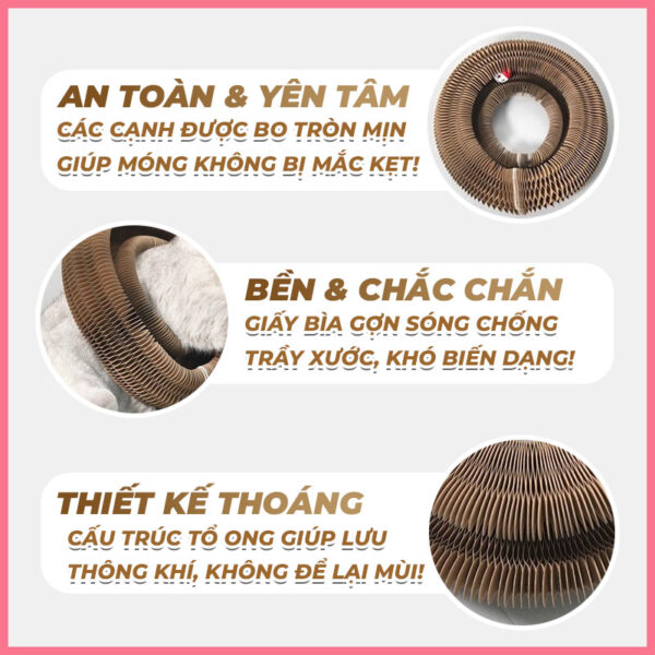 Bàn cào móng biến hình 4