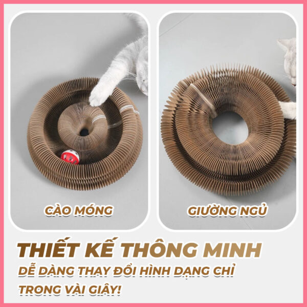 Bàn cào móng biến hình 5