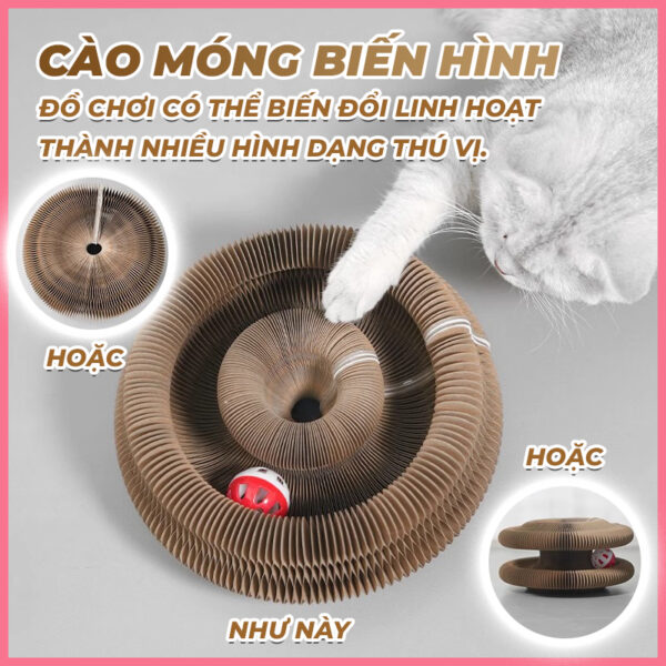 Bàn cào móng biến hình