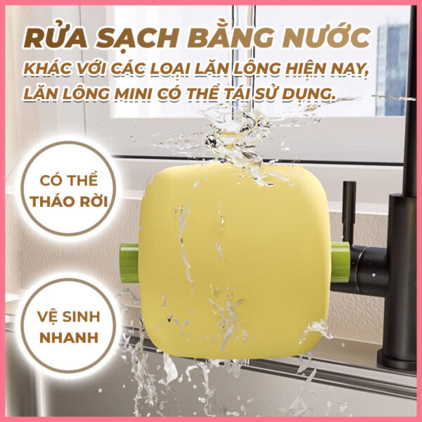 Lăn lông tái sử dụng 4