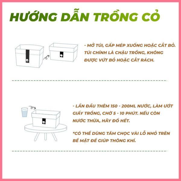 Túi giấy trồng cỏ mèo 5