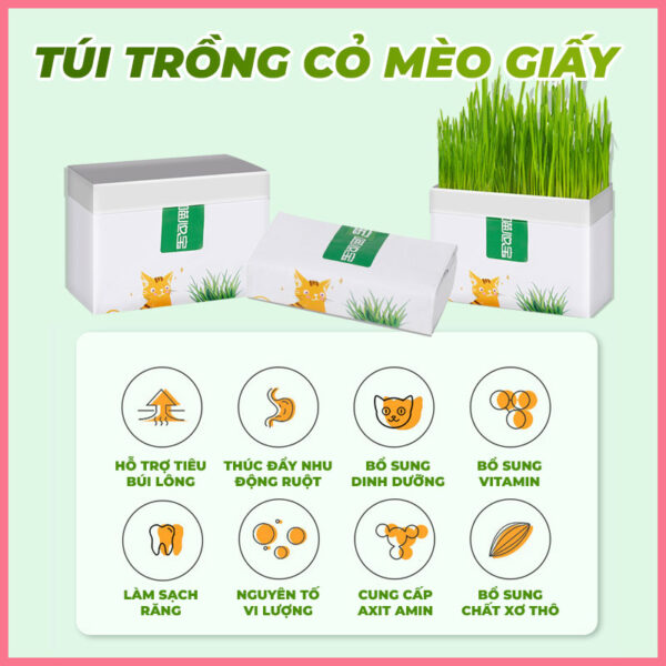 Túi giấy trồng cỏ mèo 1