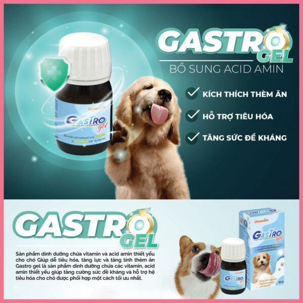 Gel dinh dưỡng gastro gel 1