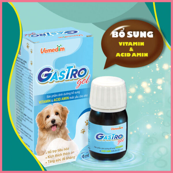 Gel dinh dưỡng gastro gel 3