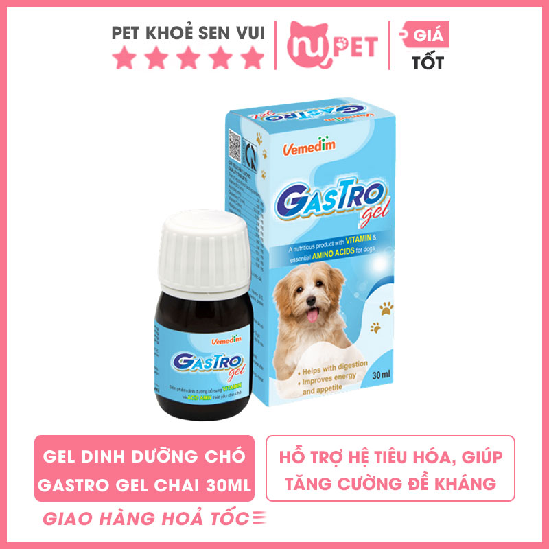 Gel dinh dưỡng gastro gel