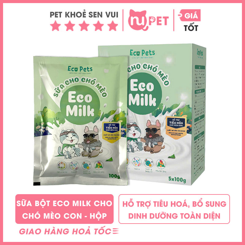 Sữa bột eco milk 12